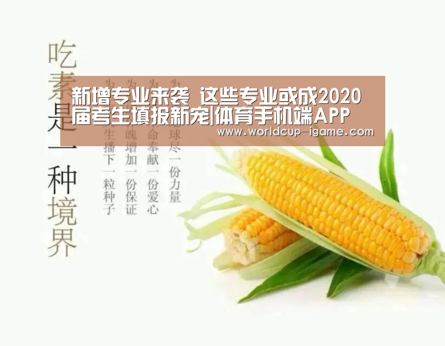 体育手机端APP