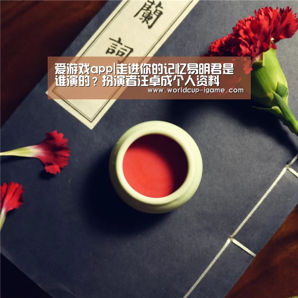 爱游戏棋牌