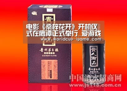 电影《桑梓花开》开机仪式在鹰潭正式举行_爱游戏体育全站(图4) 体育手机端APP