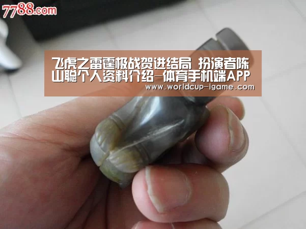 飞虎之雷霆极战贺进结局 扮演者陈山聪个人资料介绍-体育手机端APP(图3) 爱游戏app