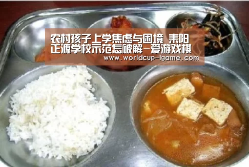 农村孩子上学焦虑与困境 耒阳正源学校示范怎破解-爱游戏棋牌(图1) 爱游戏体育全站