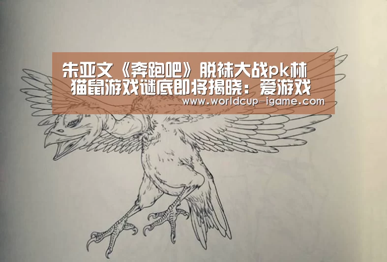 爱游戏app