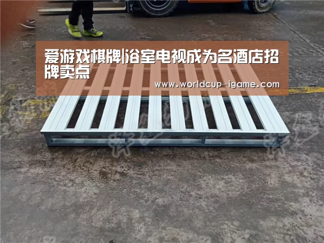 爱游戏体育全站