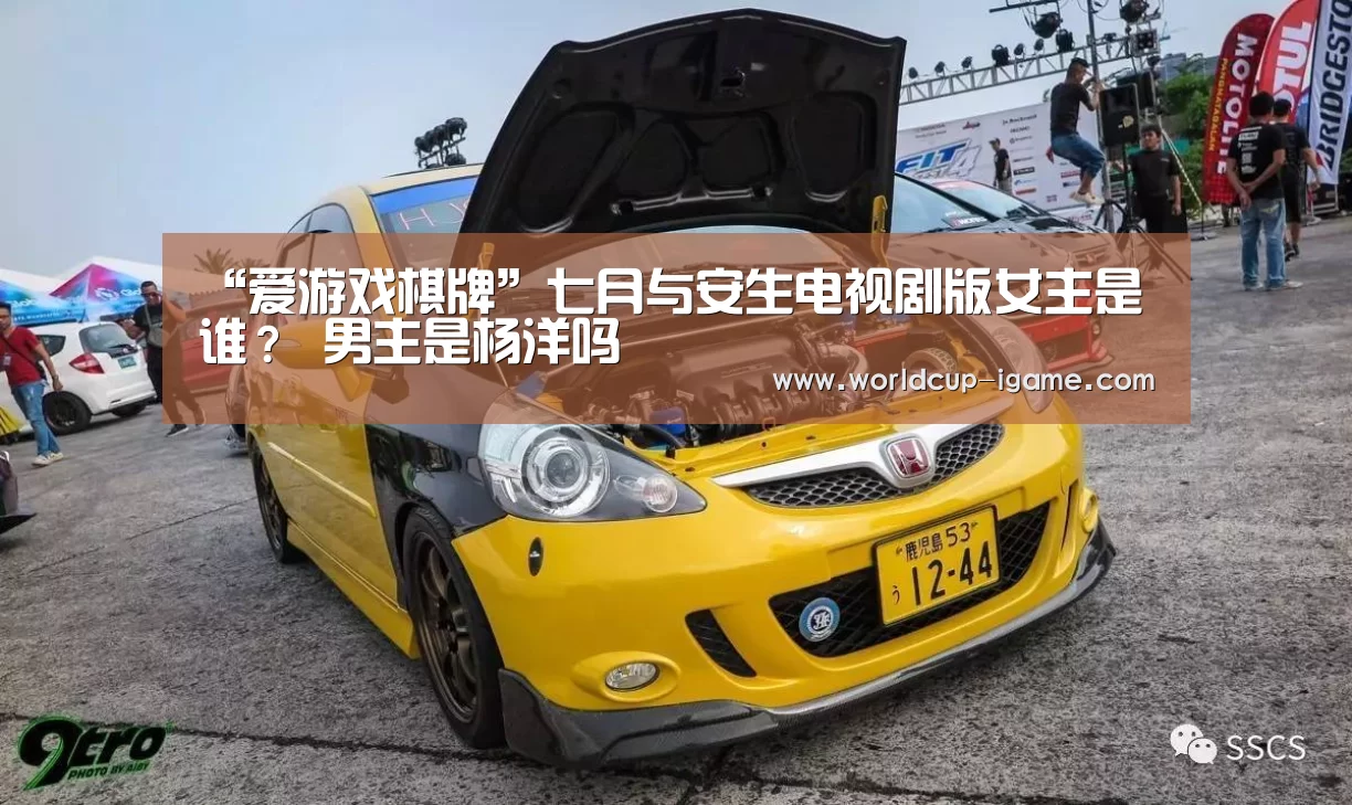 体育手机端APP