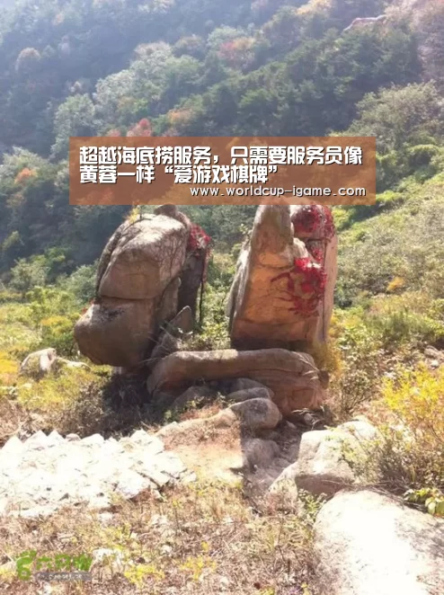 体育手机端APP
