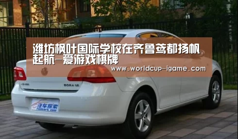 爱游戏体育全站