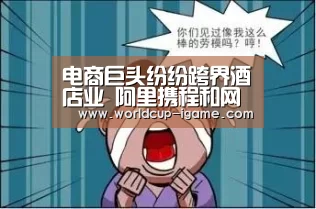 体育手机端APP